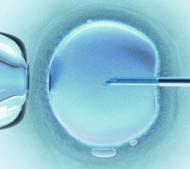 In vitro