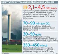 Koszty wychwytywania i składowania CO2 w Polsce