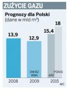 Rząd przy zakupie gazu zignorował własne prognozy