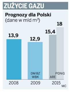 Rząd przy zakupie gazu zignorował własne prognozy