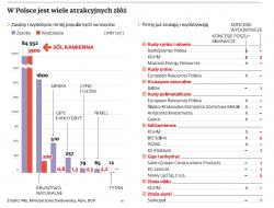 Nie tylko łupki. Jakie jeszcze złoża ma Polska?