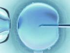 Poczta w Szwecji zwraca pracownikom koszt zabiegu in vitro