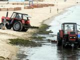 Czyszczenie plaży w Sopocie