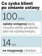 Parabanki nie zarobią na fikcyjnych kredytach