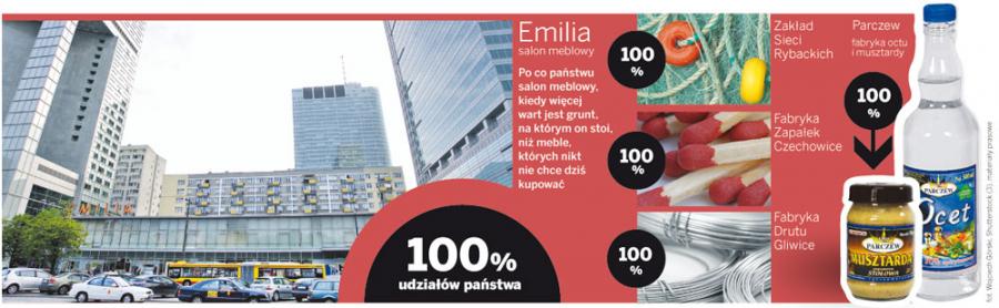 Prywatyzacja - czas na totalną wyprzedaż
