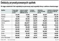 <strong>Tauron</strong> zdrożeje na debiucie
