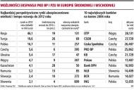 <strong>PZU</strong> i PKO BP: trudno będzie wydać 5 mld euro