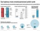 <strong>Polska</strong> ma gaz z łupków. Uniezależnimy się od Rosji?