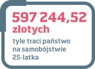 Jakkolwiek obliczanie kosztów czyjejś śmierci wydaje się bezduszne, jest to informacja przydatna dla państw, organizacji społecznych.