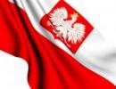 Polscy producenci mięsa uważają, że rosyjskie embargo nie uderzy w Polskę