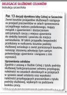 Celnikowi zwrócą za <strong>delegację</strong> tylko wtedy, gdy wykryje uchybienia