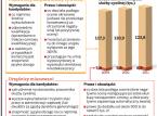 Kto pracuje w korpusie służby cywilnej