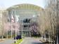 Flagi powiewające przed siedzibą firmy Apple Inc., Cupertino w Kalifornii / USA