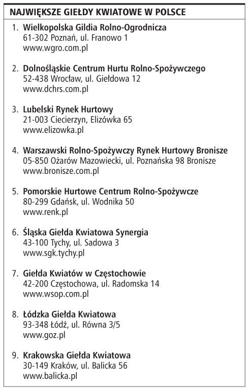 Największe giełdy kwiatowe w Polsce