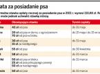 Komornik ściągnie zaległą opłatę za psa