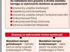 Postępowanie mandatowe