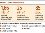 Wielkie firmy dostaną mniej gazu