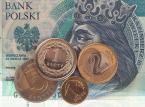 Polski złoty (Fot. ShutterStock)