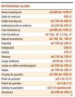 Wyposażenie salonu