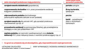 Działalność w internecie