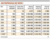 Jak rozwijają się SKOK-i