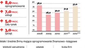 Polski rynek IT powoli rośnie