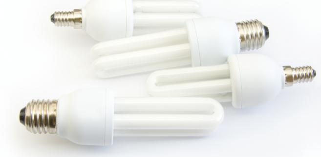 Żarówki energooszczędne. fot. Shutterstock. 