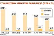 Konserwatyzm <strong>Pekao</strong> dobry na kryzys, wyniki niewiele gorsze niż rok temu