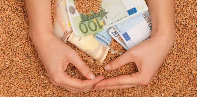 Produkcja zbóż coraz mniej opłacalna - rosną koszty, spadają ceny