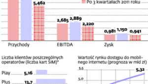 Internet coraz ważniejszy