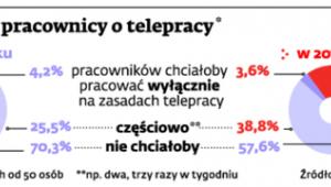 Co myślą pracownicy o telepracy