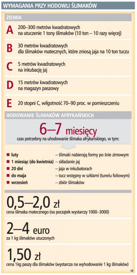 Na <strong>hodowli</strong> ślimaków rocznie można zarobić nawet 200 tys. zł