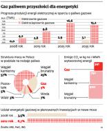 Gaz - paliwo przyszłości dla energetyki