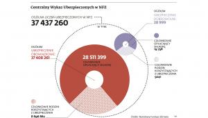Jak działa Centralny Wykaz Ubezpieczonych