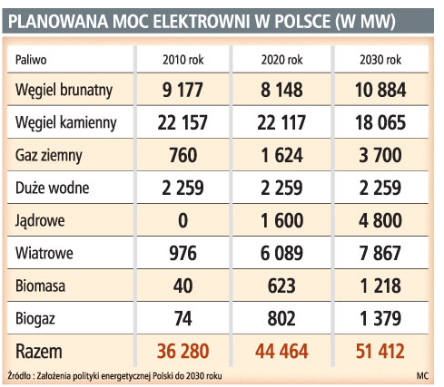 Za sześć lat ma ruszyć budowa pierwszej elektrowni atomowej