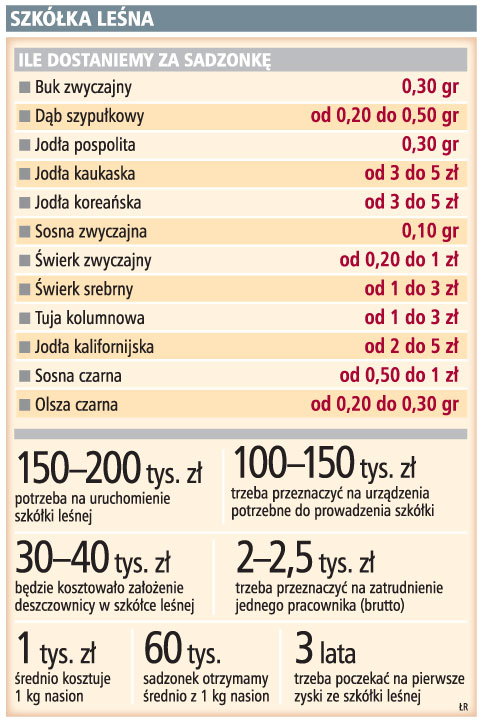 Szkółka leśna