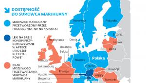 DOSTĘPNOŚĆ DO SUROWCA MARIHUANY