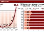 Polacy coraz więcej pożyczają rządowi