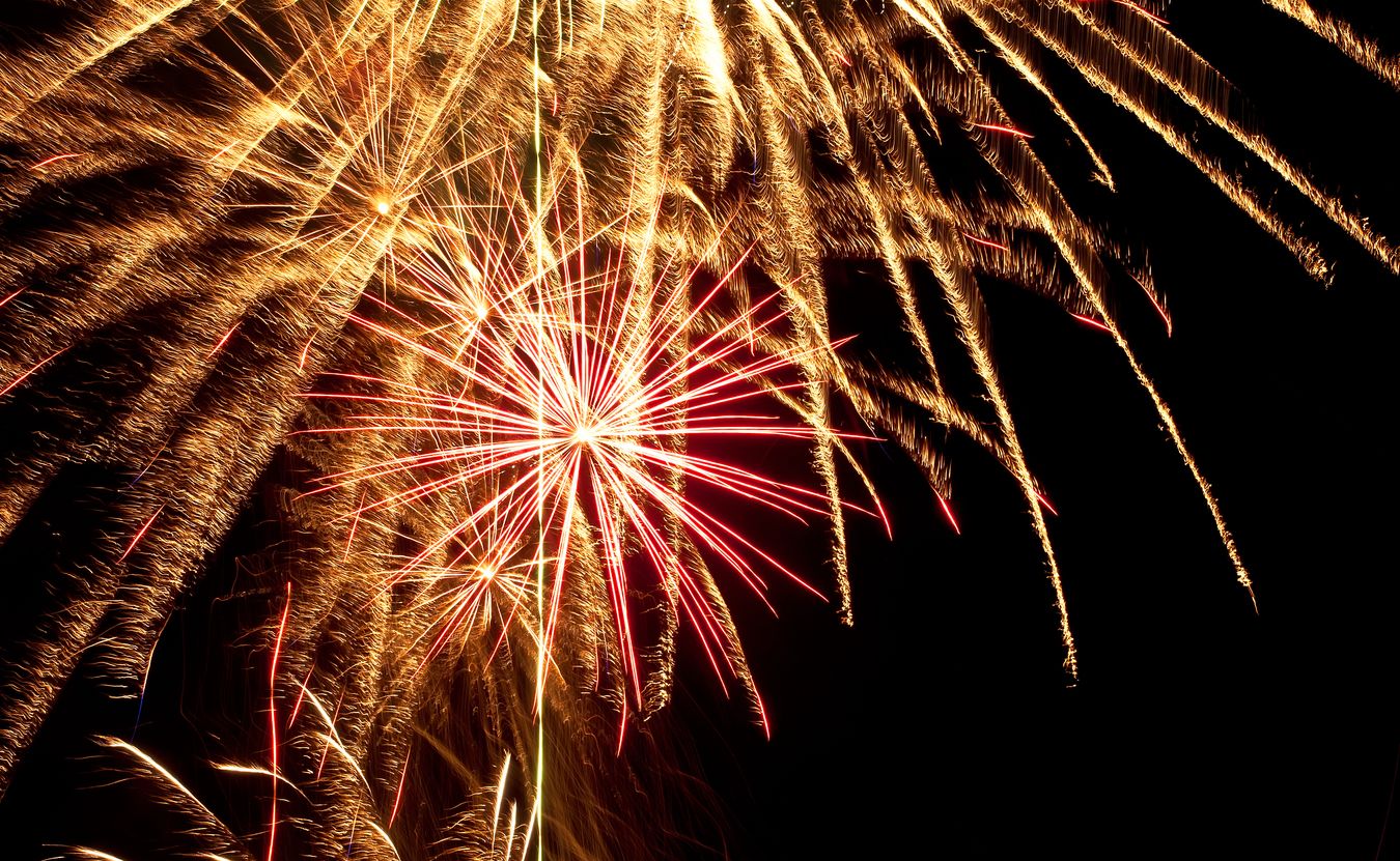 Sylwester bez fajerwerków? Toczą się prace na nowymi przepisami. Chodzi o dobro zwierząt dzikich i domowych