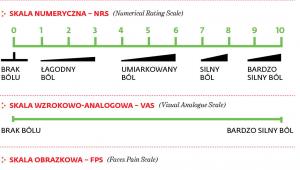 Powszechnie stosowane skale natężenia bólu
