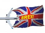Czy twardy Brexit może zatrzymać w Polsce do 100 tys. Ukraińców