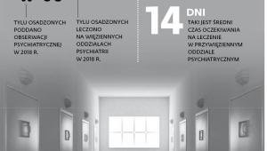 Psychiatria za kratami