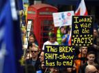 Wielka Brytania: Setki tysięcy osób na proteście przeciwko brexitowi