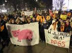 Odszkodowanie za strajk nauczycieli? Co na to prawo