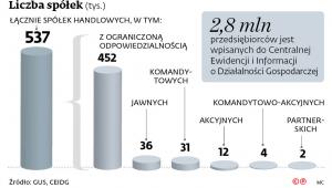 Liczba spółek