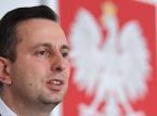 Wybory parlamentarne: Schetyna na premiera, Kamysz na prezydenta