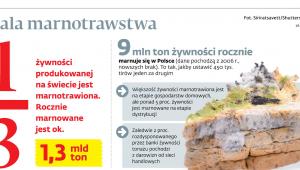Skala marnotrawstwa