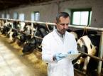 Podwyżki nie powstrzymają weterynarzy przed odejściem