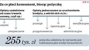 Za co płaci konsument, biorąc pożyczkę