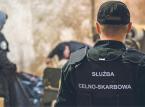 Skarbówka ściga patostreamerów w internecie. Zarabiają nielegalnie setki tysięcy złotych